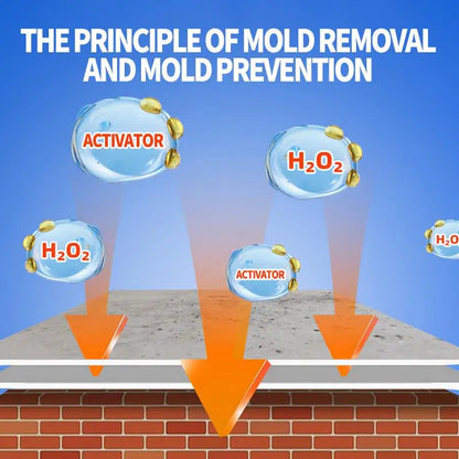 Highly Effective Mould Removal Spray 240ml Multifunctional Anti Mold Agent For White Walls
