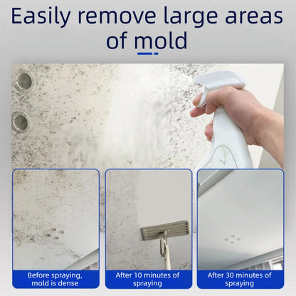 Multifunctional Mold Removal Spray