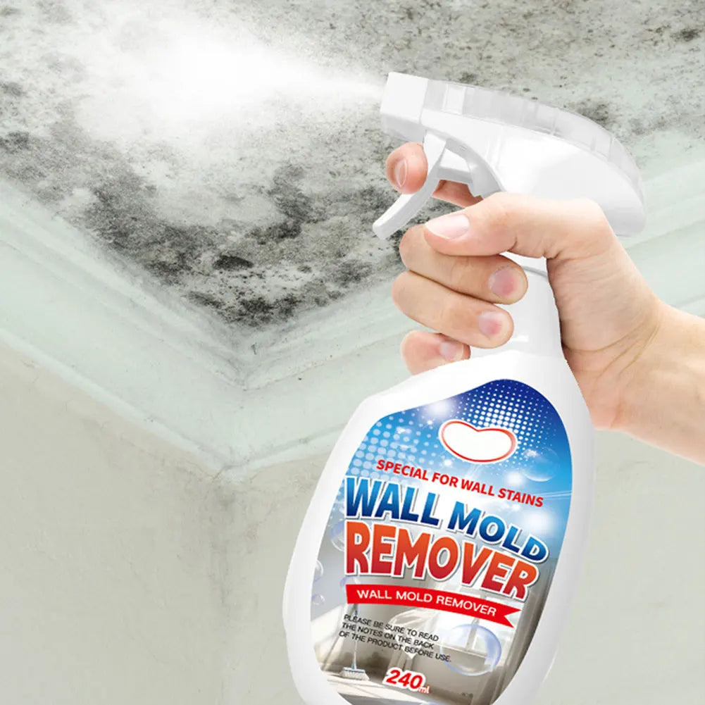 Multifunctional Mold Removal Spray