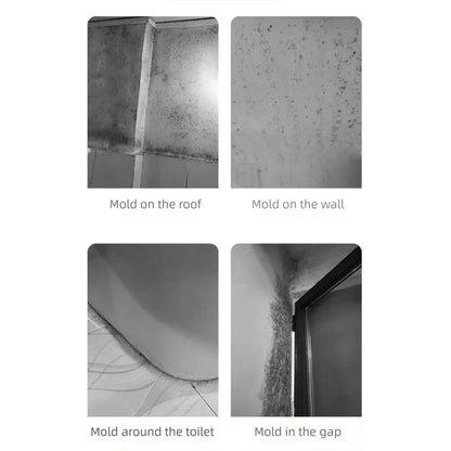 Multifunctional Mold Removal Spray
