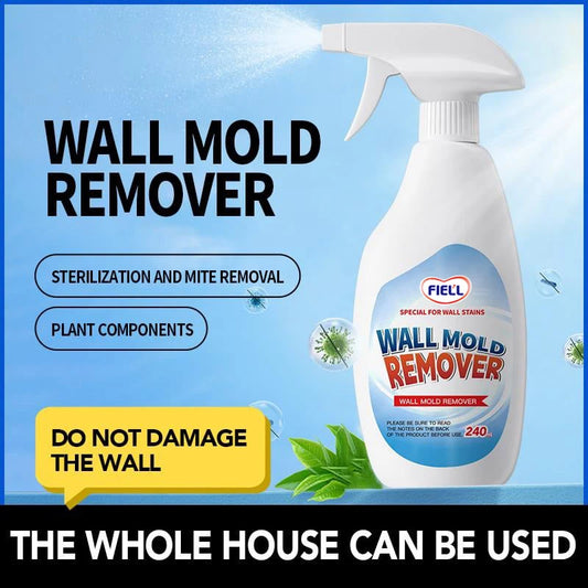 Highly Effective Mould Removal Spray 240ml Multifunctional Anti Mold Agent For White Walls